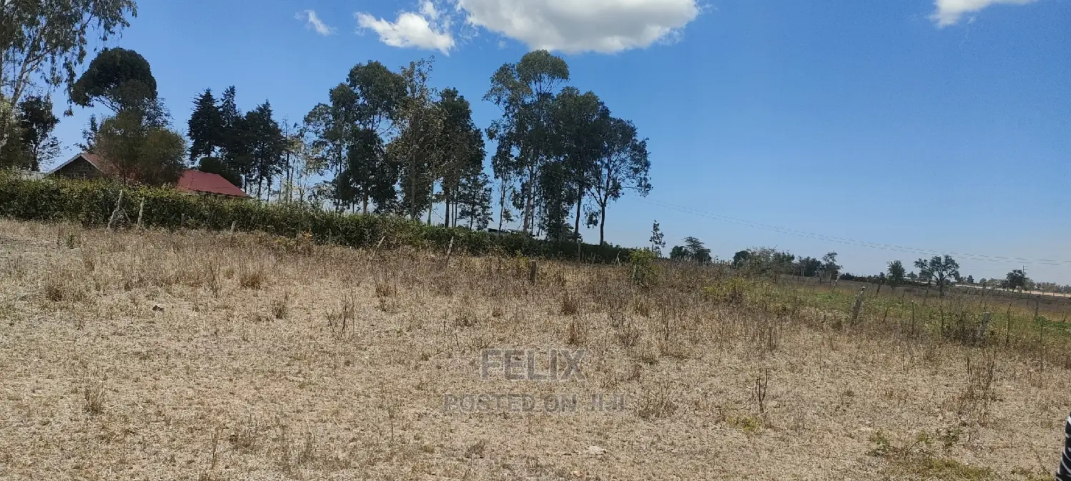 Chaka/Kalicheni Prime Plots