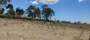 Chaka/Kalicheni Prime Plots