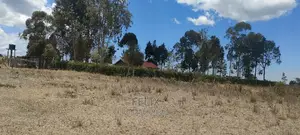 Chaka/Kalicheni Prime Plots