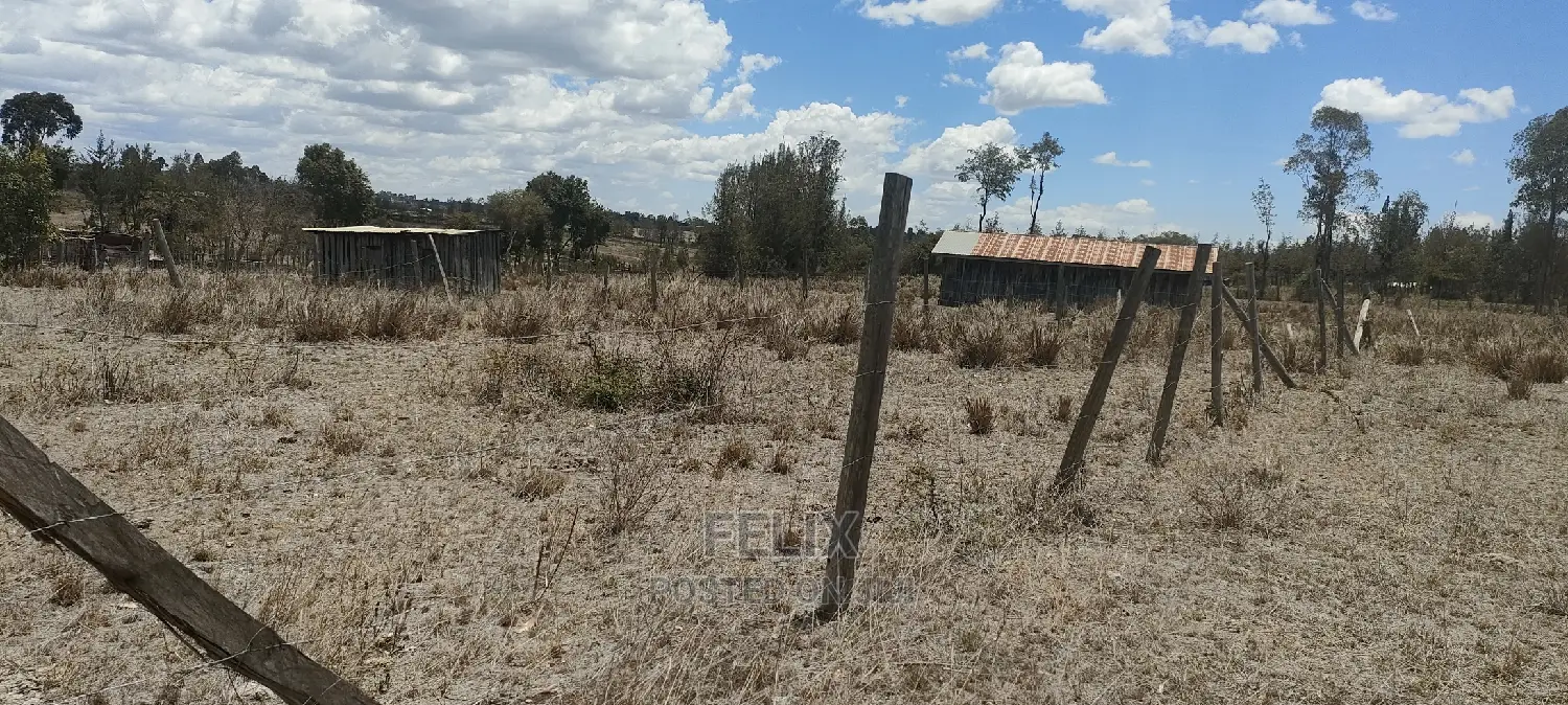 Chaka/Kalicheni Prime Plots