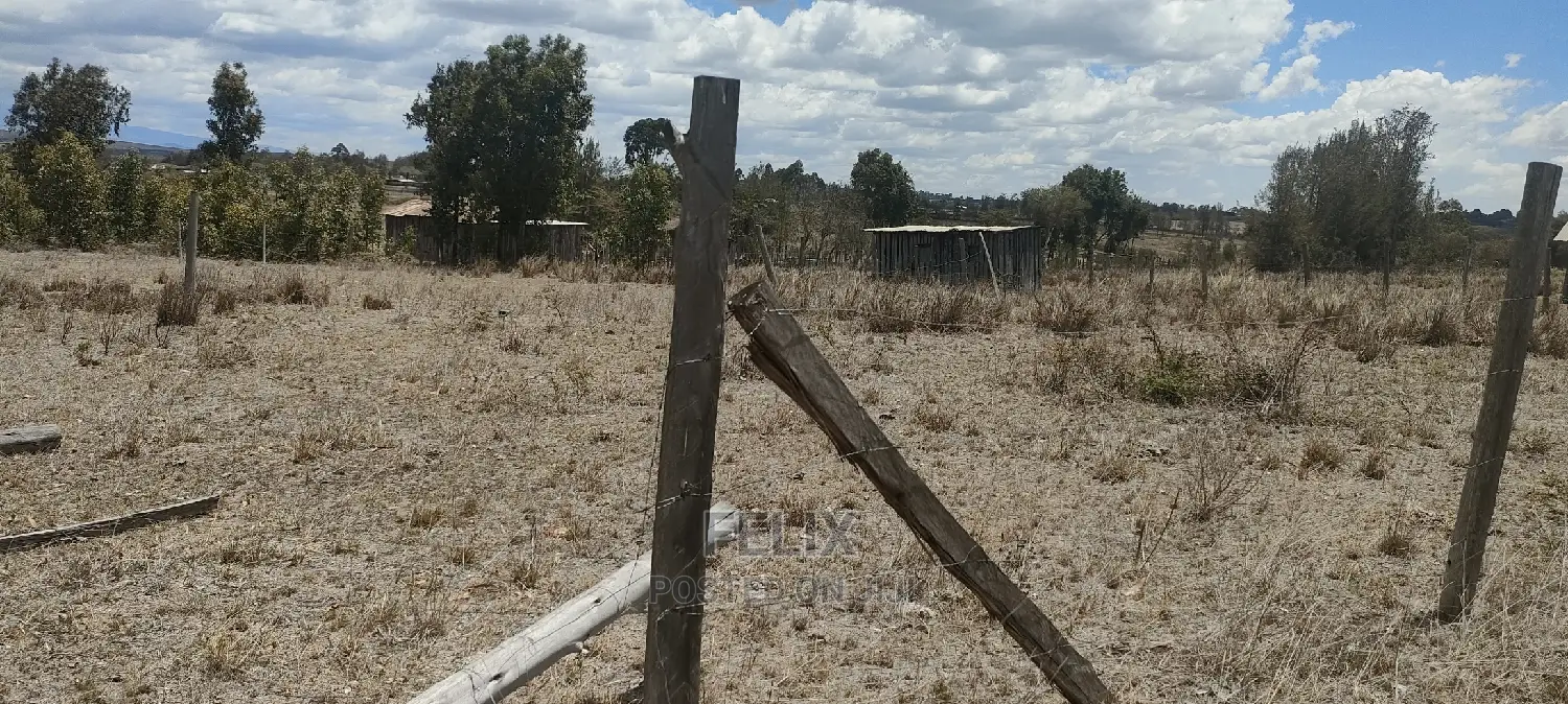 Chaka/Kalicheni Prime Plots