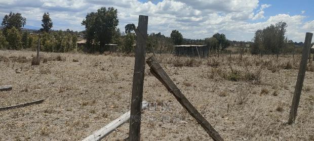 Chaka/Kalicheni Prime Plots - thumbnail 9