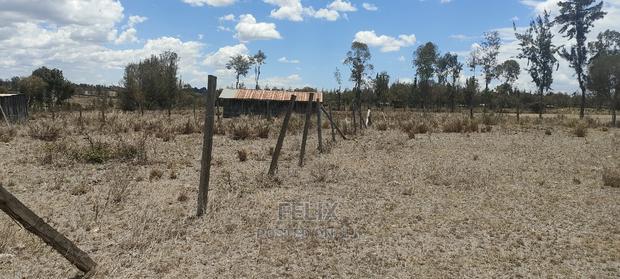 Chaka/Kalicheni Prime Plots - thumbnail 10