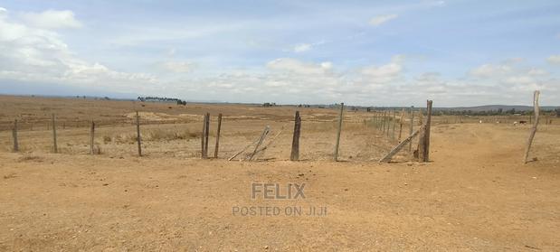 Narumoru/Solio 2 Acres