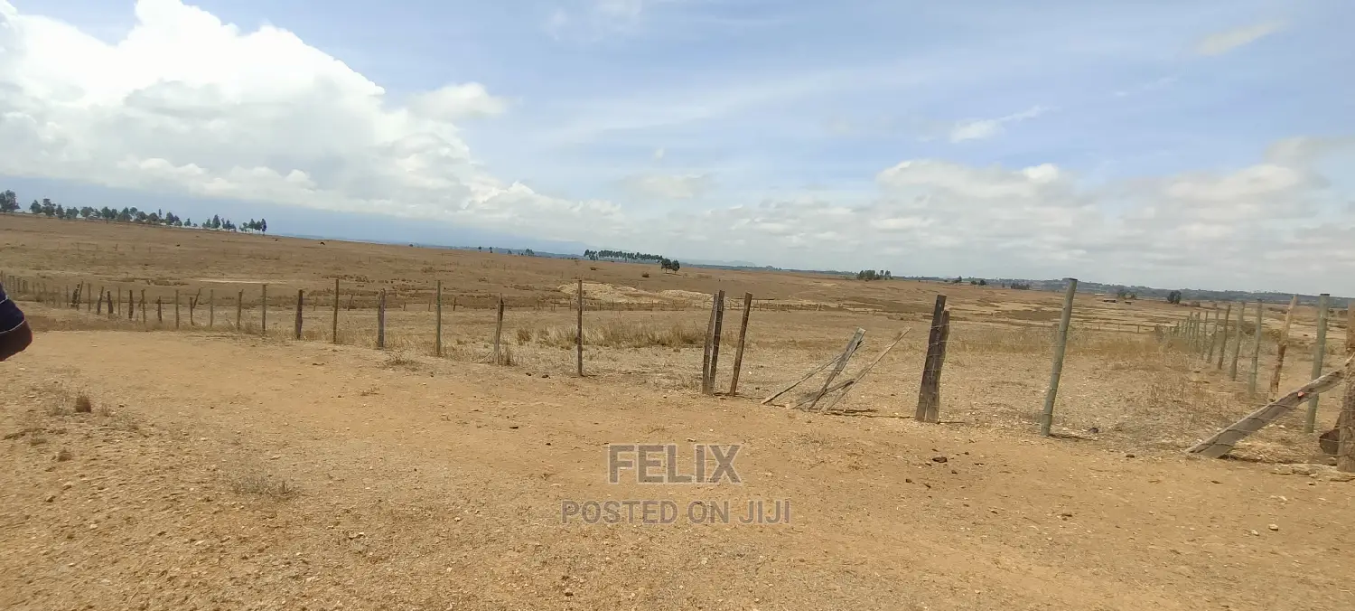 Narumoru/Solio 2 Acres