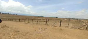 Narumoru/Solio 2 Acres