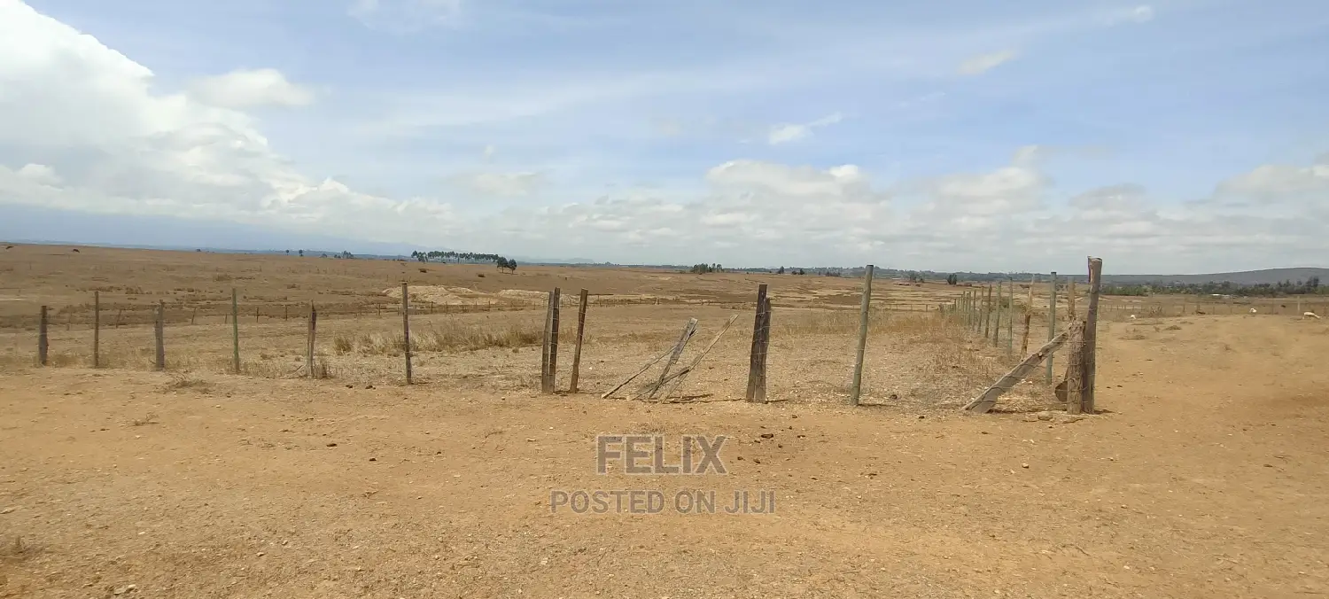 Narumoru/Solio 2 Acres