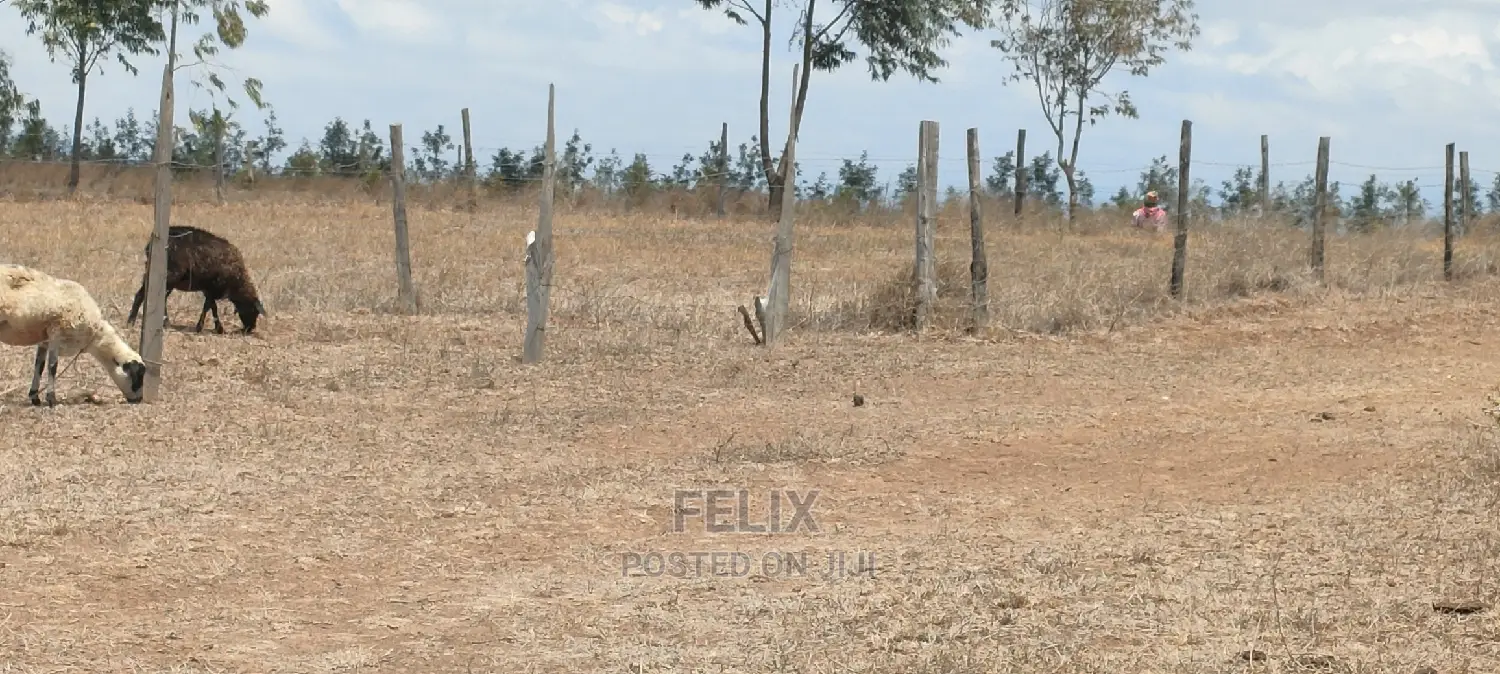 Narumoru/Solio 2 Acres
