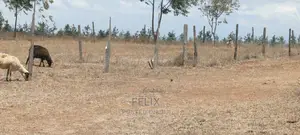 Narumoru/Solio 2 Acres
