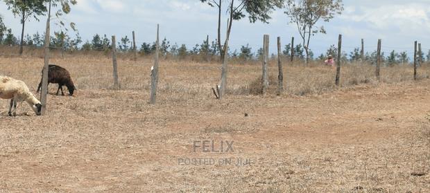 Narumoru/Solio 2 Acres - thumbnail 4