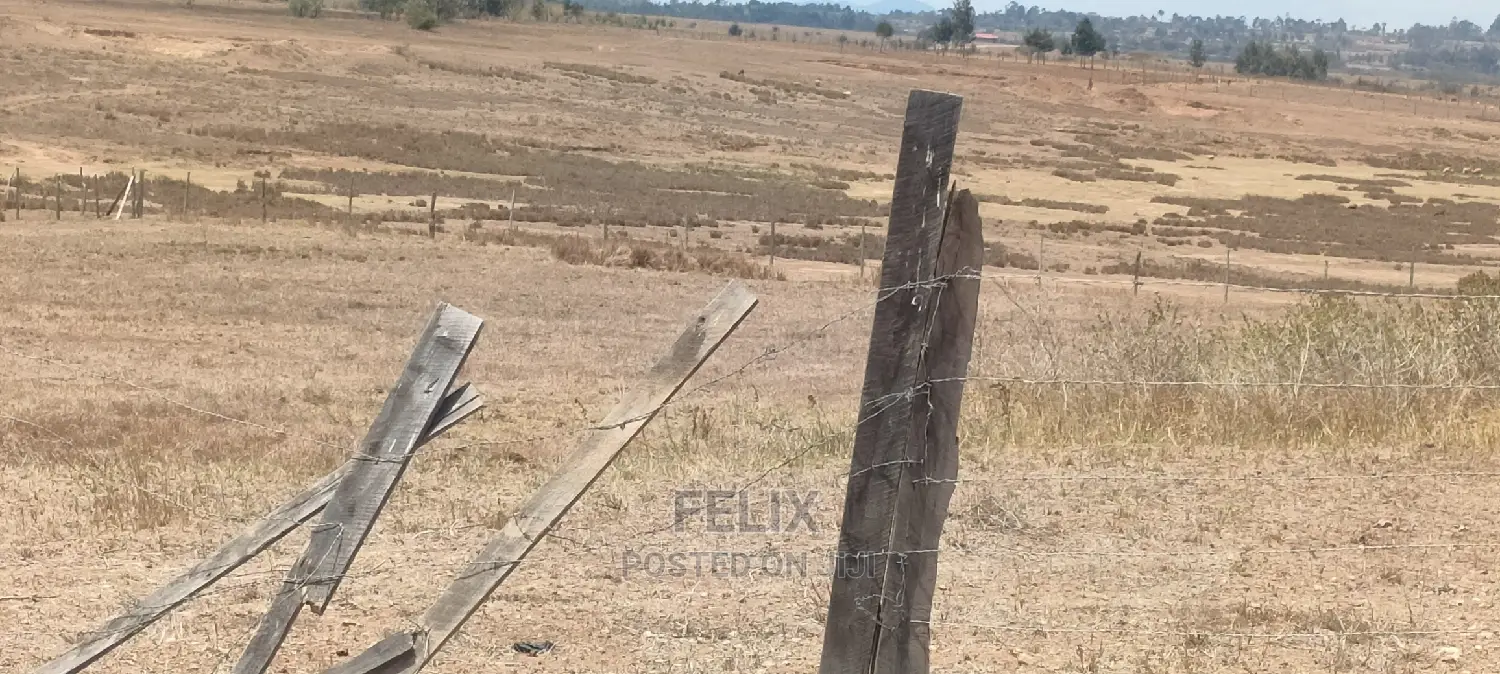Narumoru/Solio 2 Acres