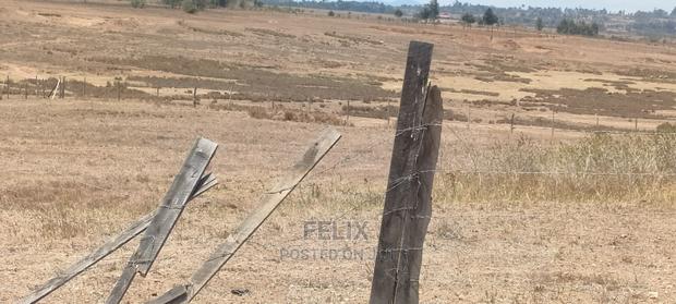 Narumoru/Solio 2 Acres - thumbnail 6