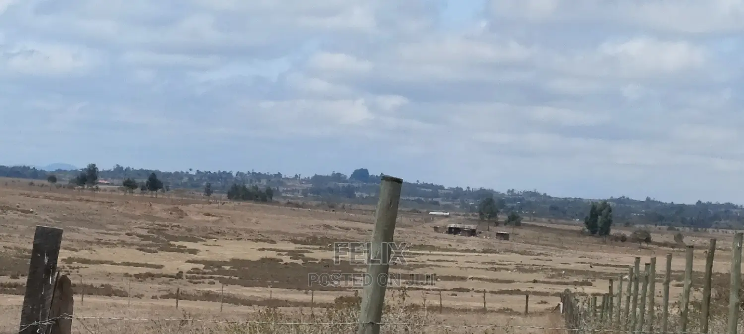 Narumoru/Solio 2 Acres