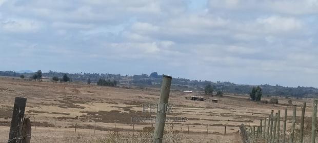 Narumoru/Solio 2 Acres - thumbnail 5