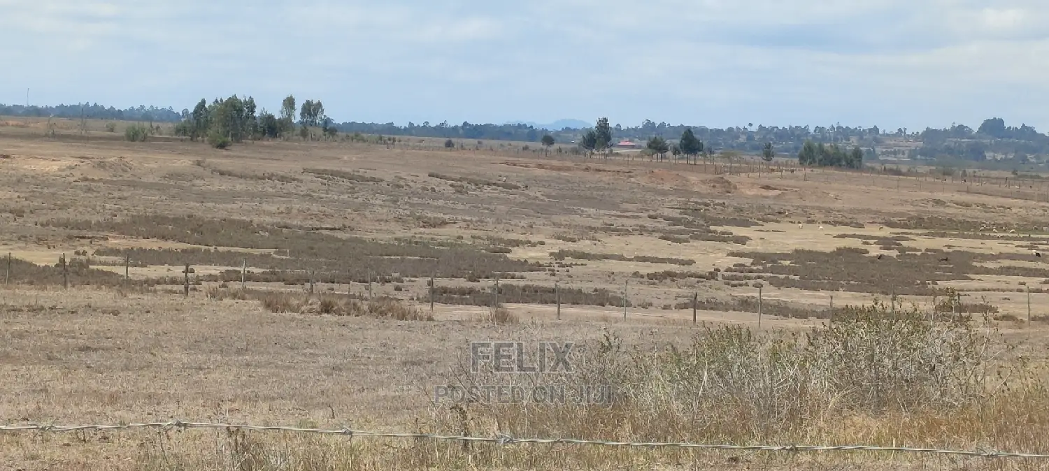 Narumoru/Solio 2 Acres