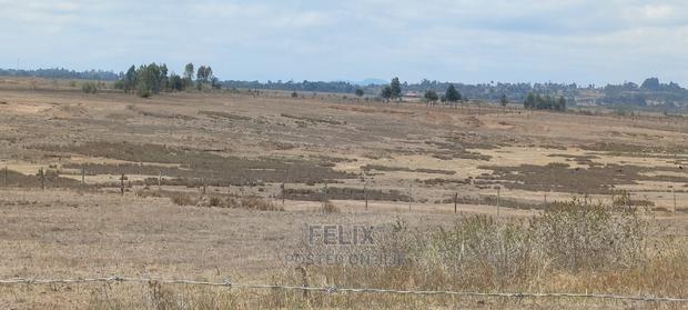 Narumoru/Solio 2 Acres - thumbnail 7