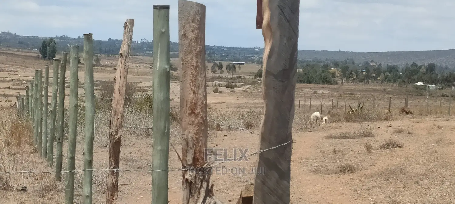 Narumoru/Solio 2 Acres