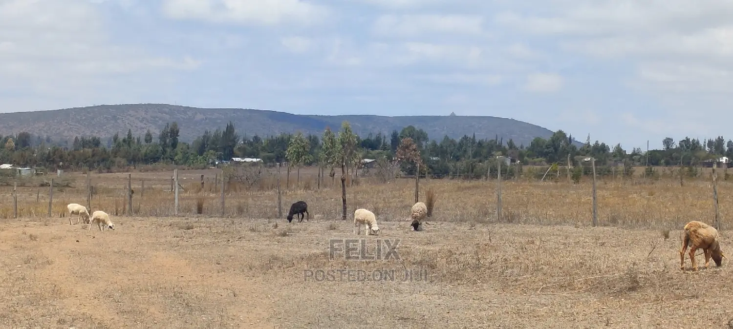 Narumoru/Solio 2 Acres