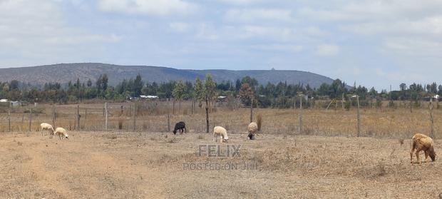 Narumoru/Solio 2 Acres - thumbnail 9