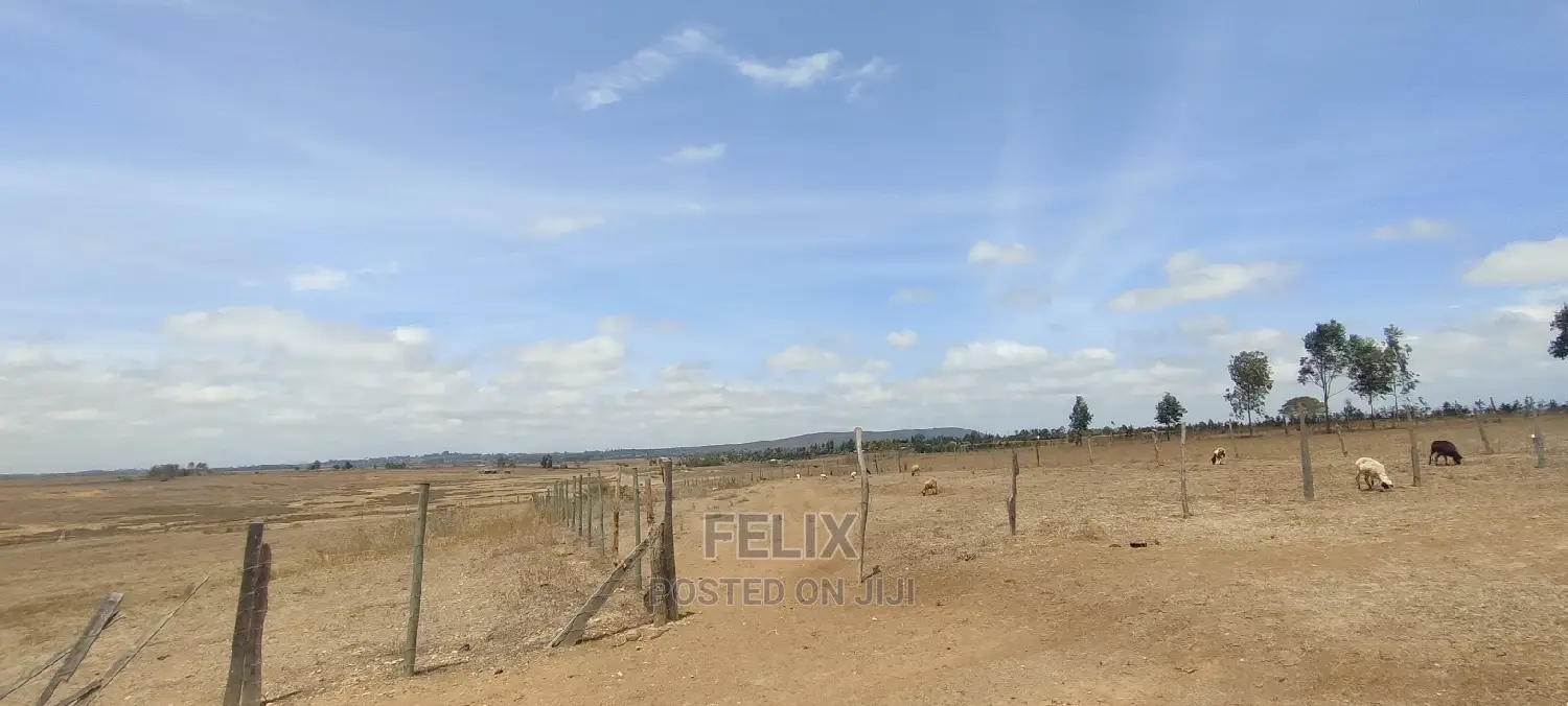Narumoru/Solio 2 Acres