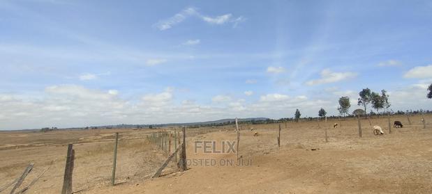 Narumoru/Solio 2 Acres - thumbnail 10