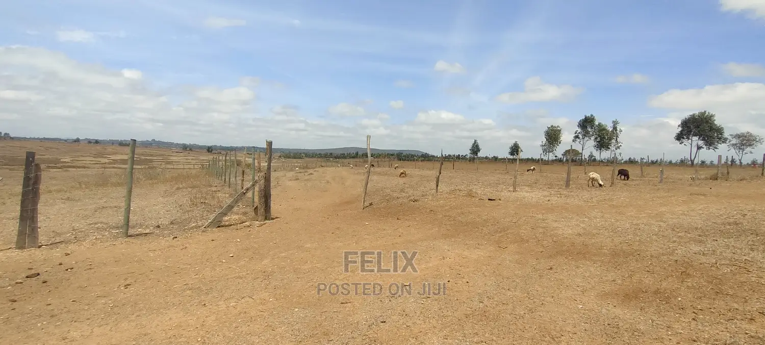 Narumoru/Solio 2 Acres