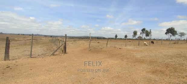 Narumoru/Solio 2 Acres - thumbnail 11