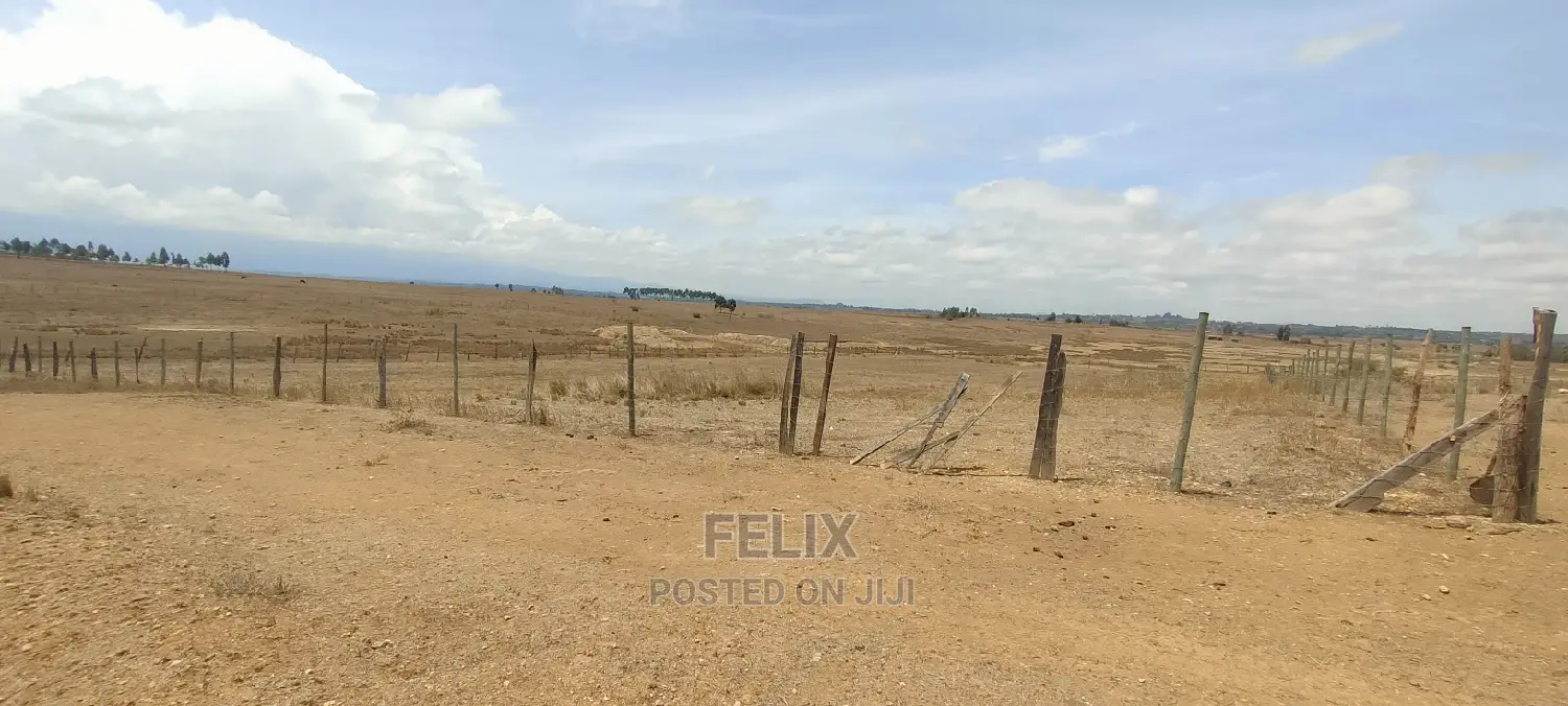 Narumoru/Solio 2 Acres