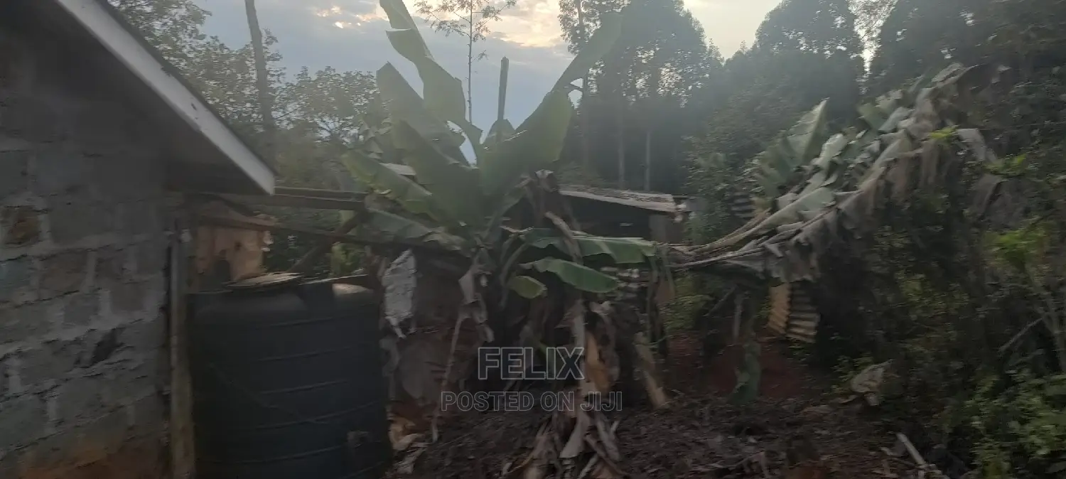 1/4 Plot Karatina/Kiawarigi 2bdrm House