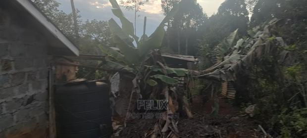 1/4 Plot Karatina/Kiawarigi 2bdrm House - thumbnail 4