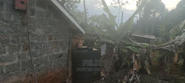 1/4 Plot Karatina/Kiawarigi 2bdrm House - thumbnail 2