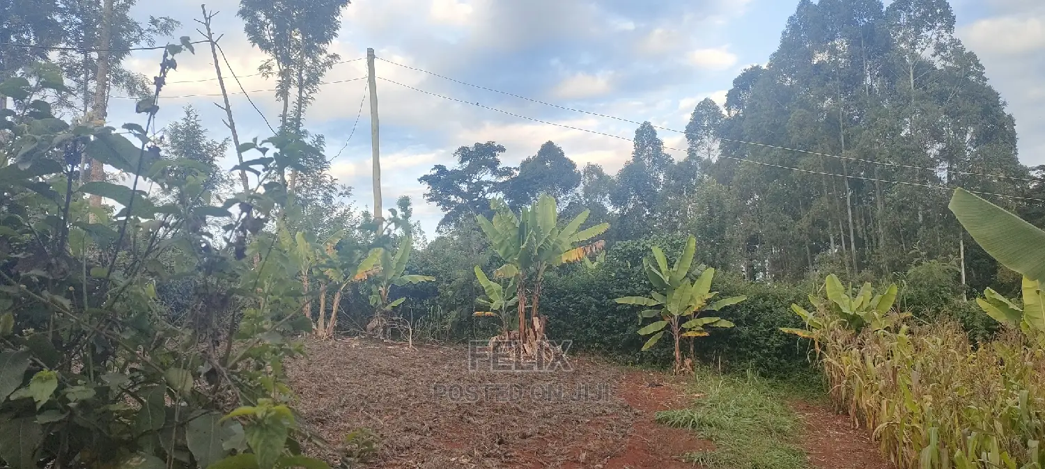 1/4 Plot Karatina/Kiawarigi 2bdrm House