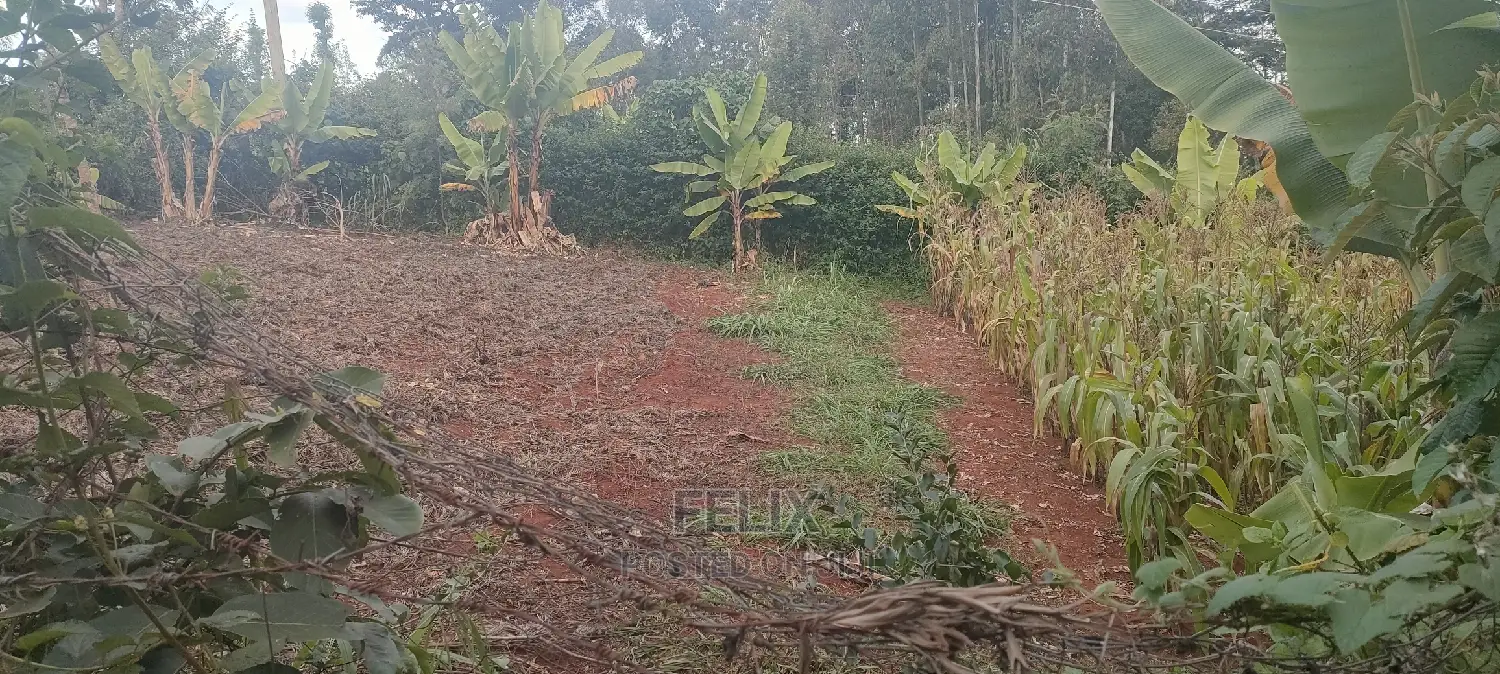 1/4 Plot Karatina/Kiawarigi 2bdrm House
