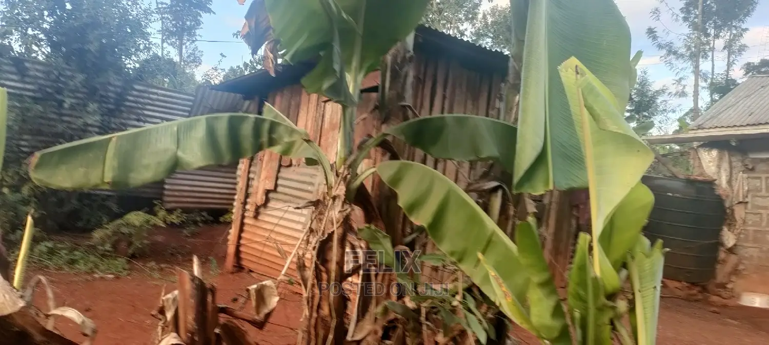 1/4 Plot Karatina/Kiawarigi 2bdrm House