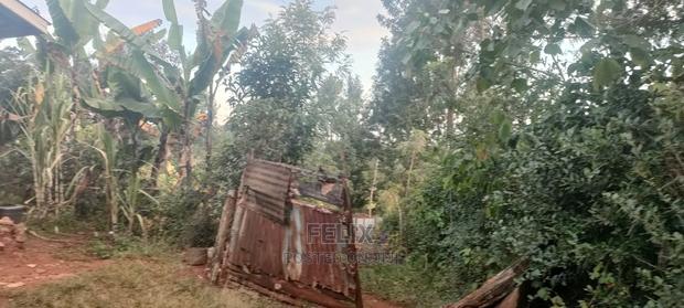1/4 Plot Karatina/Kiawarigi 2bdrm House - thumbnail 15