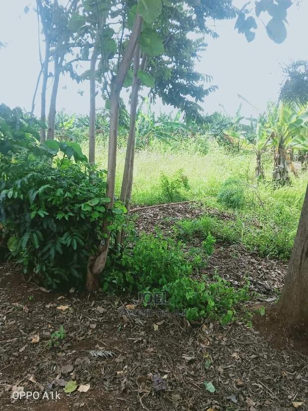 Langa Langa 2 Acres Land