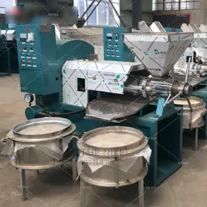 Sesame Small Oil Press Extractor