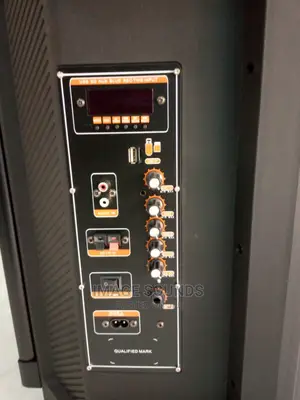 Powered Speaker EON15"