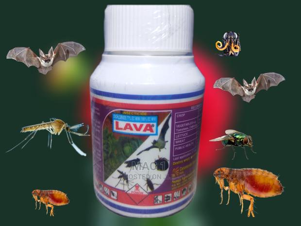 Concentrated Lava Original Insecticide - main view