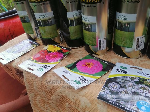 500grams Seeds for Bermuda Grass - main view