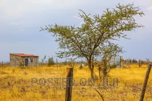 Plots Close to Tarmac Kangundo Road
