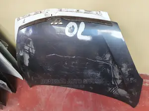 Wish 2002 Bonnet Lid/ Hood Assembly