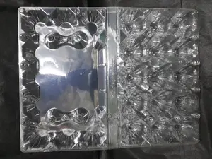 Empty Trays