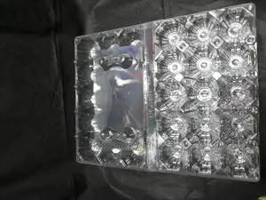 Empty Trays