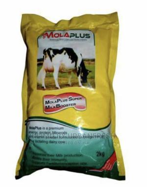 Livestock Booster for Dairy / Beef / Poultry / Pigs /Fish. - thumbnail 2