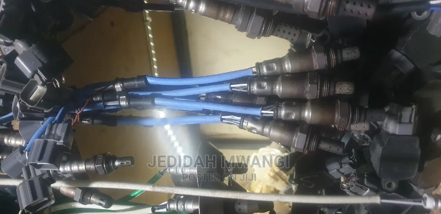 Oxygen Sensors