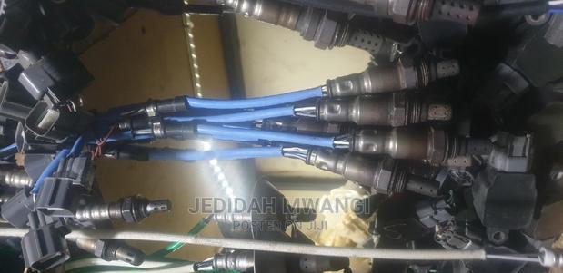Oxygen Sensors