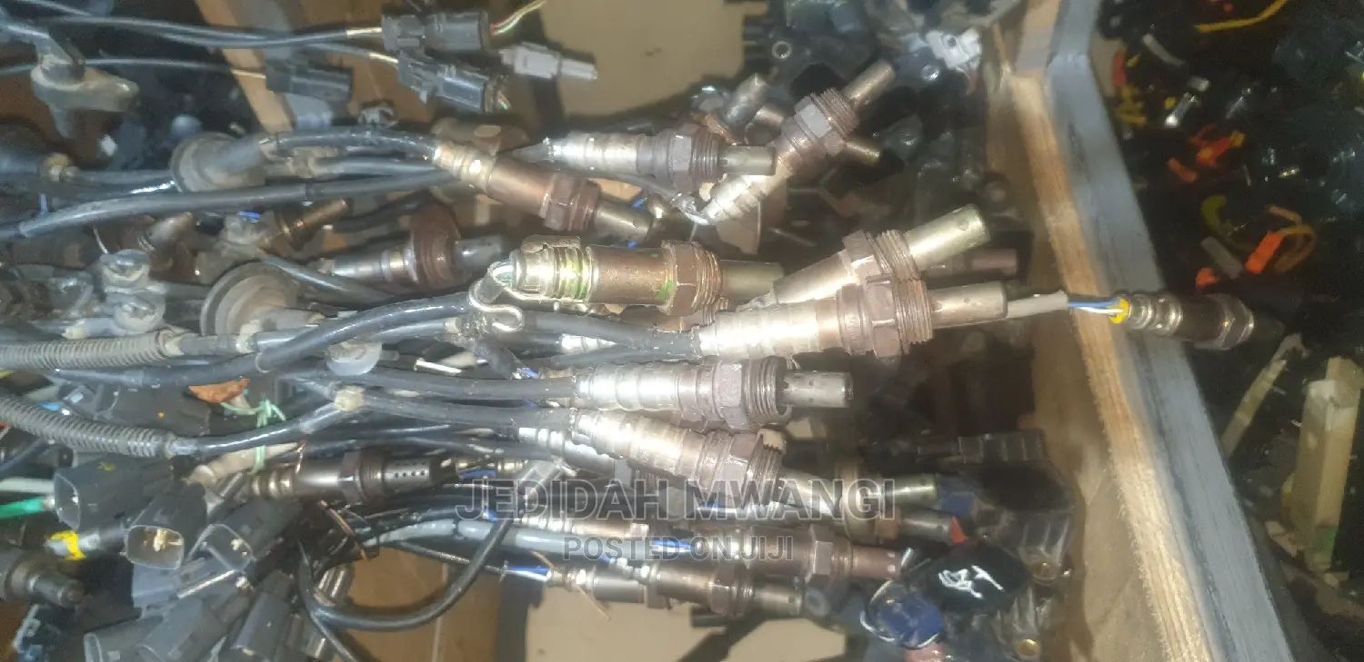 Oxygen Sensors