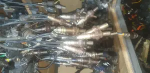 Oxygen Sensors