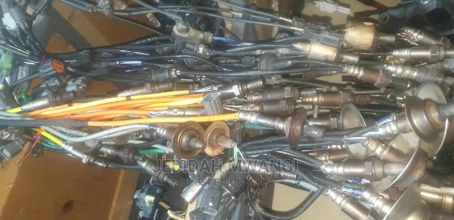 Oxygen Sensors